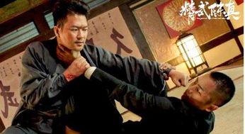 精武陈真,武术传奇，民族精神之魂