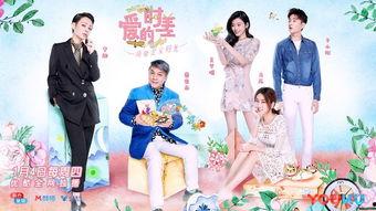 爱的时差,揭秘爱的时差